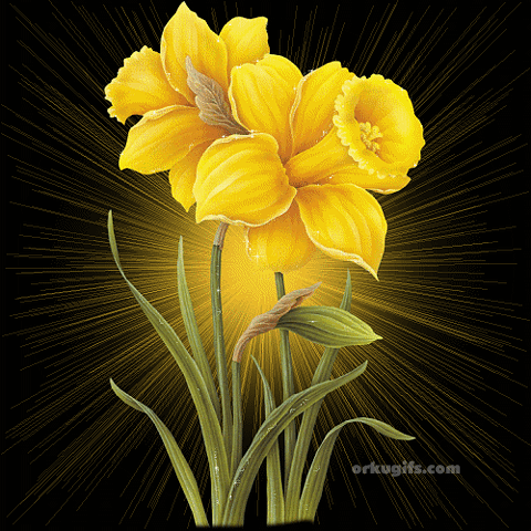 Flor amarela brilhando - Recados e Imagens para orkut, facebook, tumblr e hi5