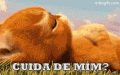 Recados e Imagens - Carinho 