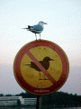 Recados e Imagens - Humor 