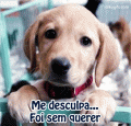 Recados e Imagens - Perdão 